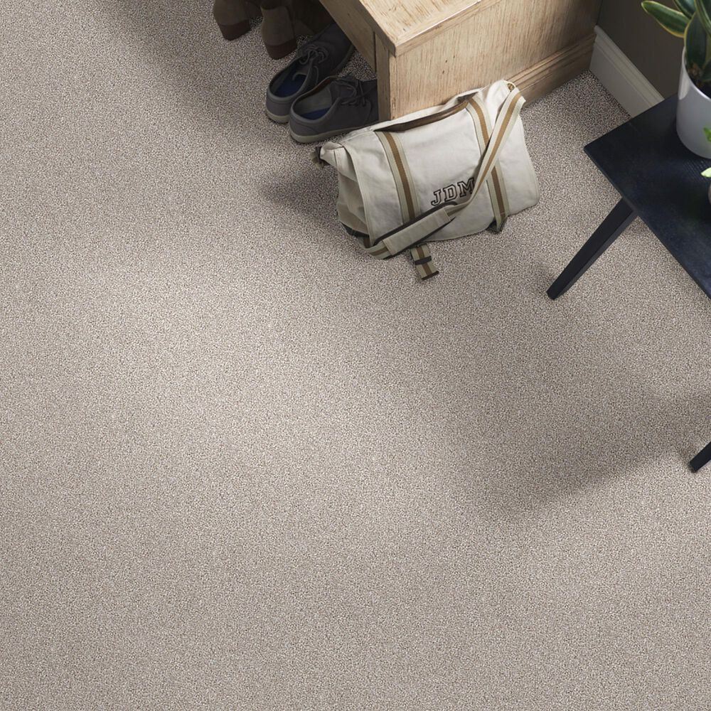 Shaw Just Right I Carpet in Winter Dunes, , large