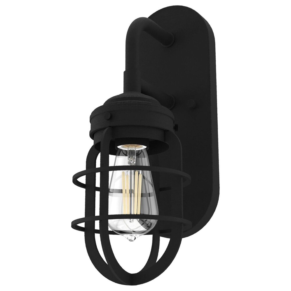 Hunter Starklake 1-Light Wall Sconce in Natural Iron, , large