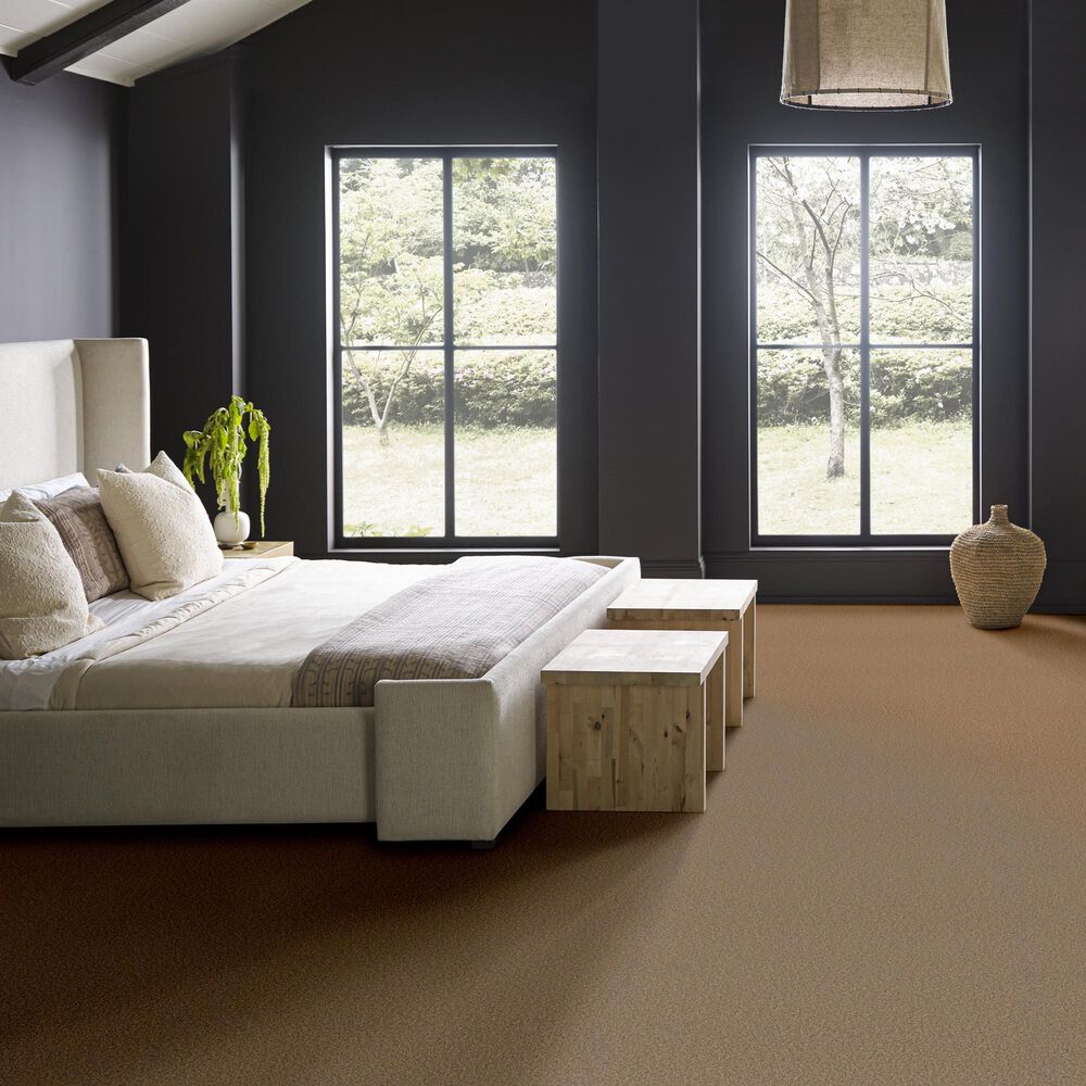 Anderson Tuftex Wyndham Estate Carpet in Toffee, , large