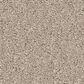Anderson Tuftex Enduring Charm Carpet in Sandshell, , large