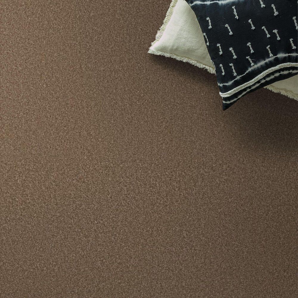 Anderson Tuftex Cypress Falls Carpet in Baked Clay, , large