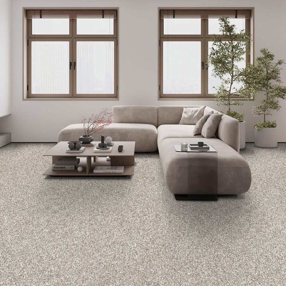 Dream Weaver Affinity IV Carpet in Sparrow, , large