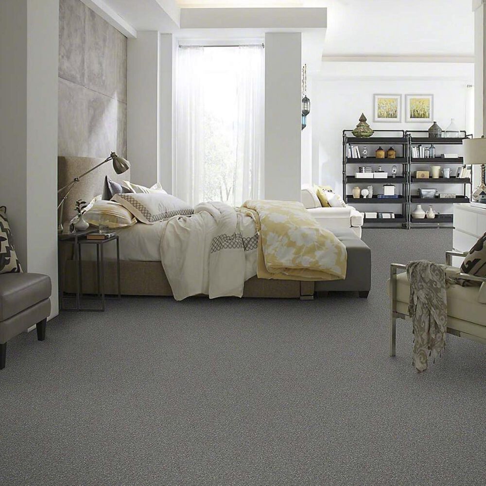 Anderson Tuftex Barracan Classic I Carpet in Shalestone, , large