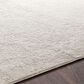 Surya Aisha AIS-2306 9"3" x 12"3" Light Gray and Off-White Area Rug, , large