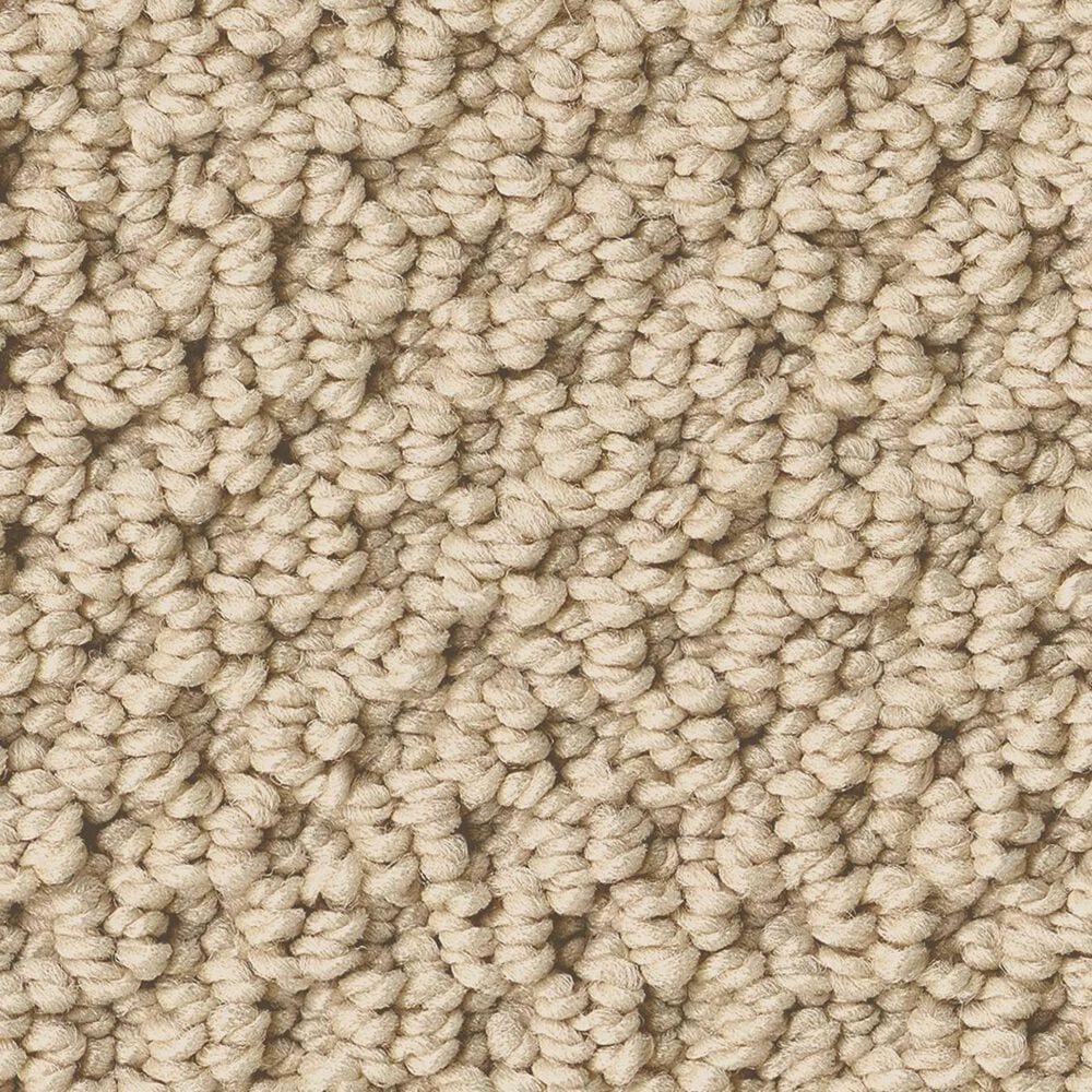 Anderson Tuftex Gracious Carpet in Bamboo, , large