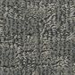 Anderson Tuftex Paw-Tay Carpet in Kendall, , large
