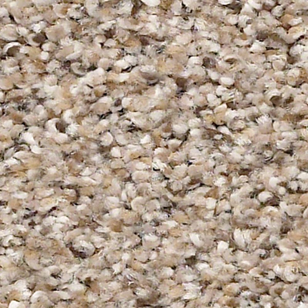 Shaw Elemental Mix II Carpet in Acreage, , large