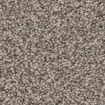 Anderson Tuftex Wyndham Estate Carpet in Pashmina, , large
