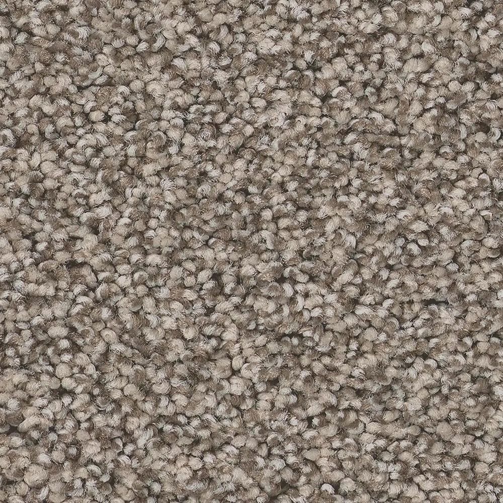 Anderson Tuftex Wyndham Estate Carpet in Pashmina, , large
