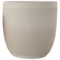 Creative Coop Coastal Embossed Textured Stoneware Planter in Matte White, , large