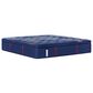 Sealy Brenham Medium Pillowtop Twin XL Mattress with Low Profile Box Spring, , large