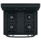 Hotpoint 4.8 Cu. Ft. Freestanding Gas Range with Sealed Burners in Black, , large