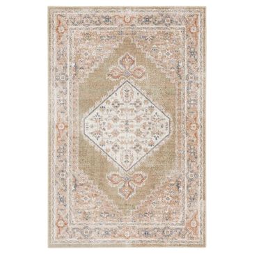 Nourison Astra Machine Washable 4" x 6" Sage and Multicolor Area Rug, , large