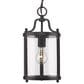 Golden Lighting Payton 1-Light Mini Pendant in Matte Black, , large