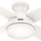 Hunter Dempsey Low Profile 44" Ceiling Fan with LED Lights in Fresh White, , large