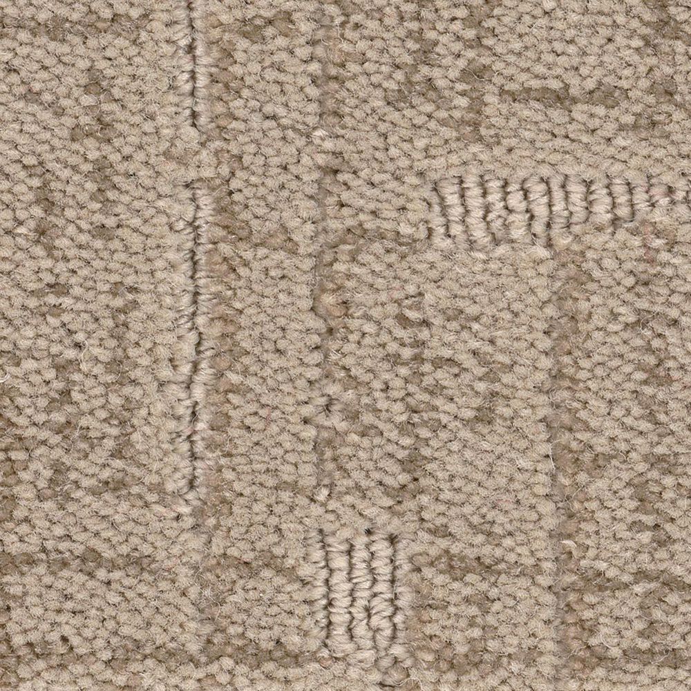 Anderson Tuftex Private Retreat Carpet in Birchwood, , large