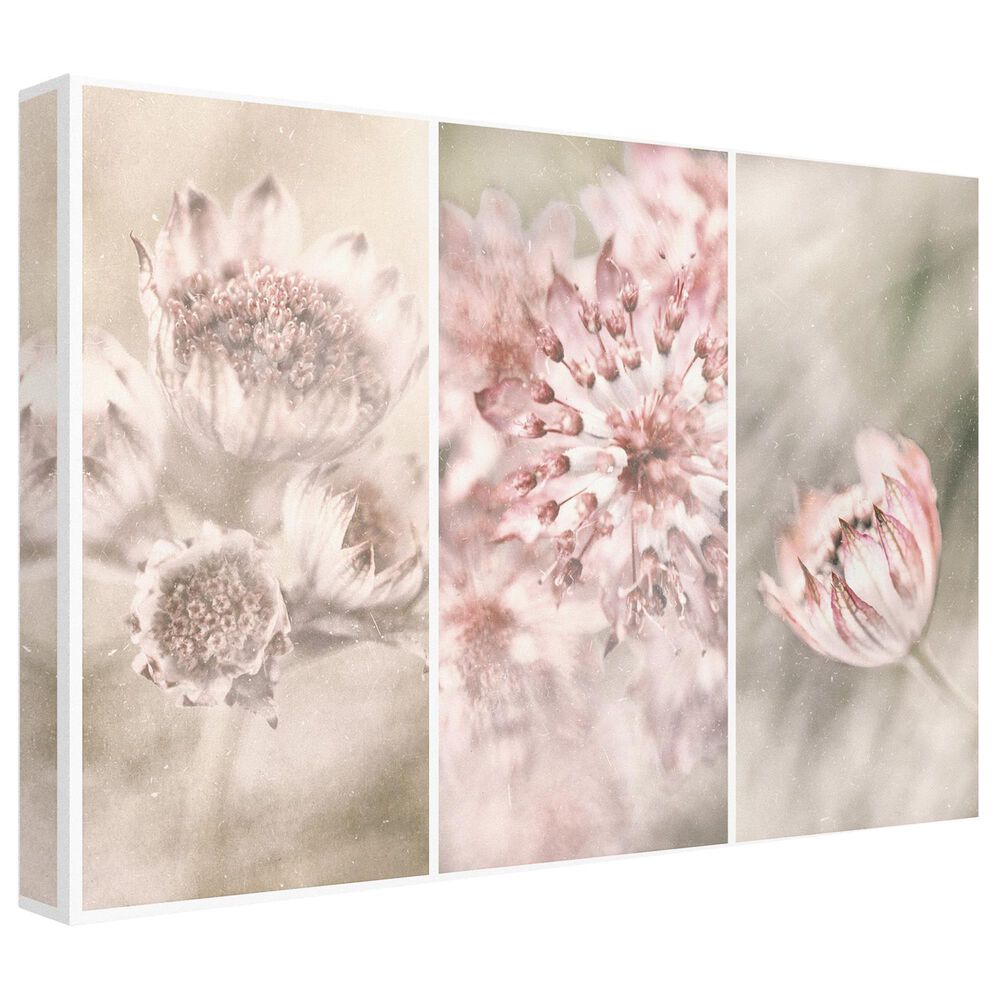Timberlake Gustav Davidsson 'Pink Floral Panels' 30" x 47" Canvas Art, , large