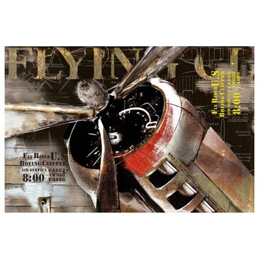 Moe"s Home Collection Flight Wall Decor, , large