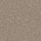 Godfrey-Hirst Candor Carpet in Artful, , large