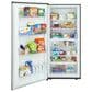 Frigidaire Gallery 2-Piece Kitchen Package with 19 Cu. Ft. Single Door Refrigerator and 19 Cu. Ft. Single Door Freezer in Stainless Steel, , large