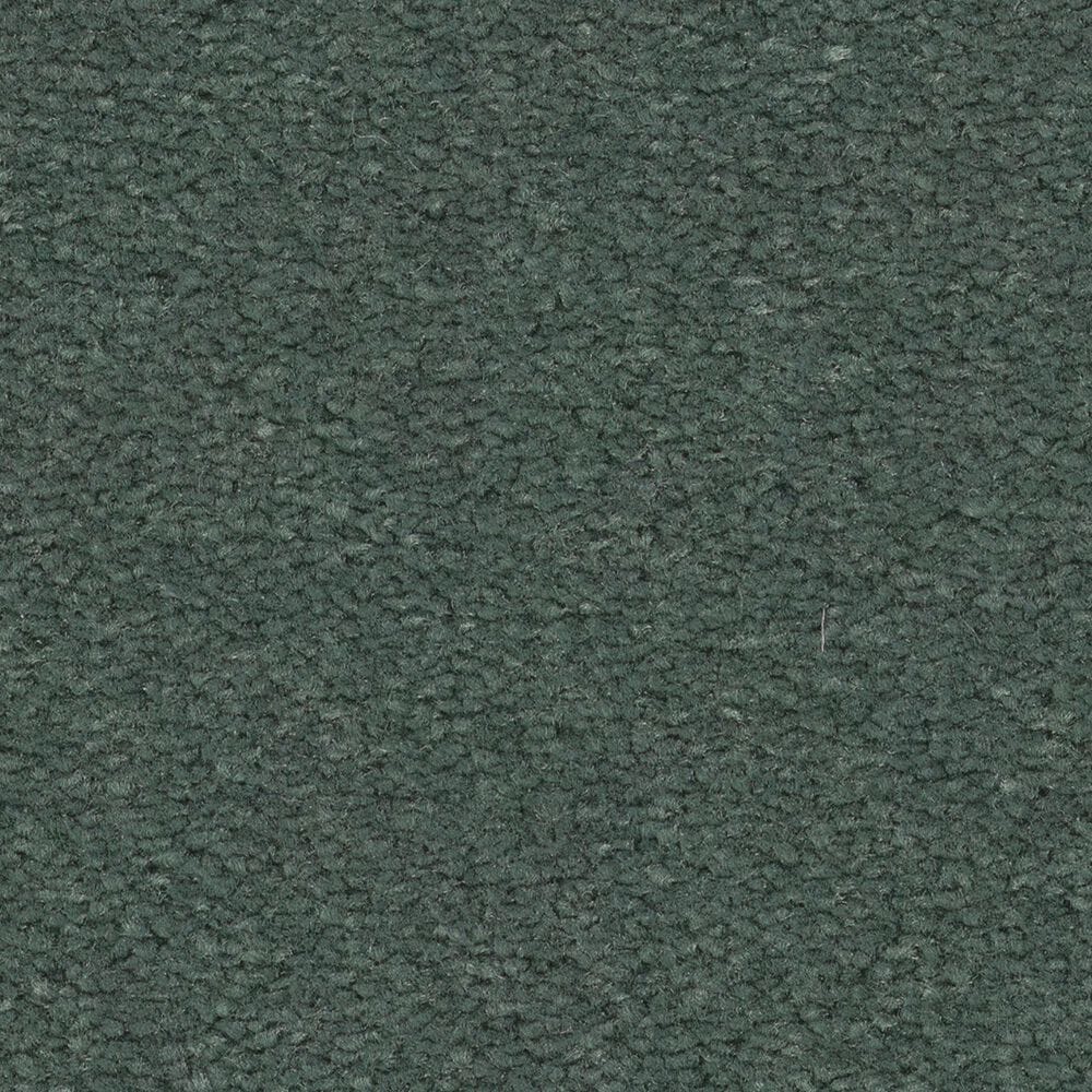 Anderson Tuftex Finery Carpet in Grove, , large