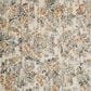Loloi Torrance TC-09 3"9" x 5"9" Ivory and Beige Area Rug, , large