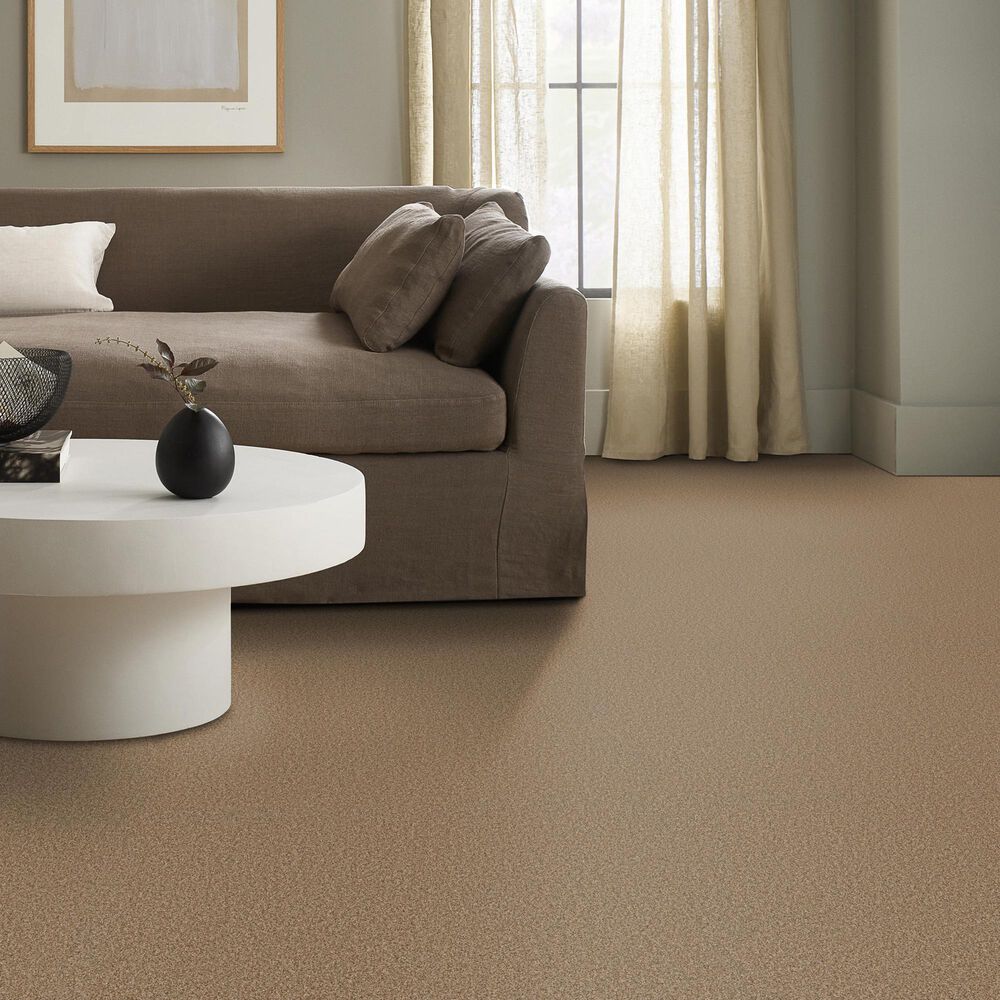 Anderson Tuftex Wyndham Estate Carpet in Toasty, , large