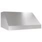 Zephyr Pro Cypress 36" Outdoor Wall Mounted Range Hood in Stainless Steel, , large
