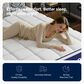 Avenco Spring Thread 10" Medium Queen Mattress in a Box, , large