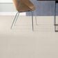 Shaw Basic Rules Carpet in Oatmeal, , large