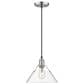 Golden Lighting Orwell 1-Light Medium Pendant with Clear Glass Shade in Pewter, , large