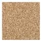 Dixie Home Lavato Carpet in Monarch, , large