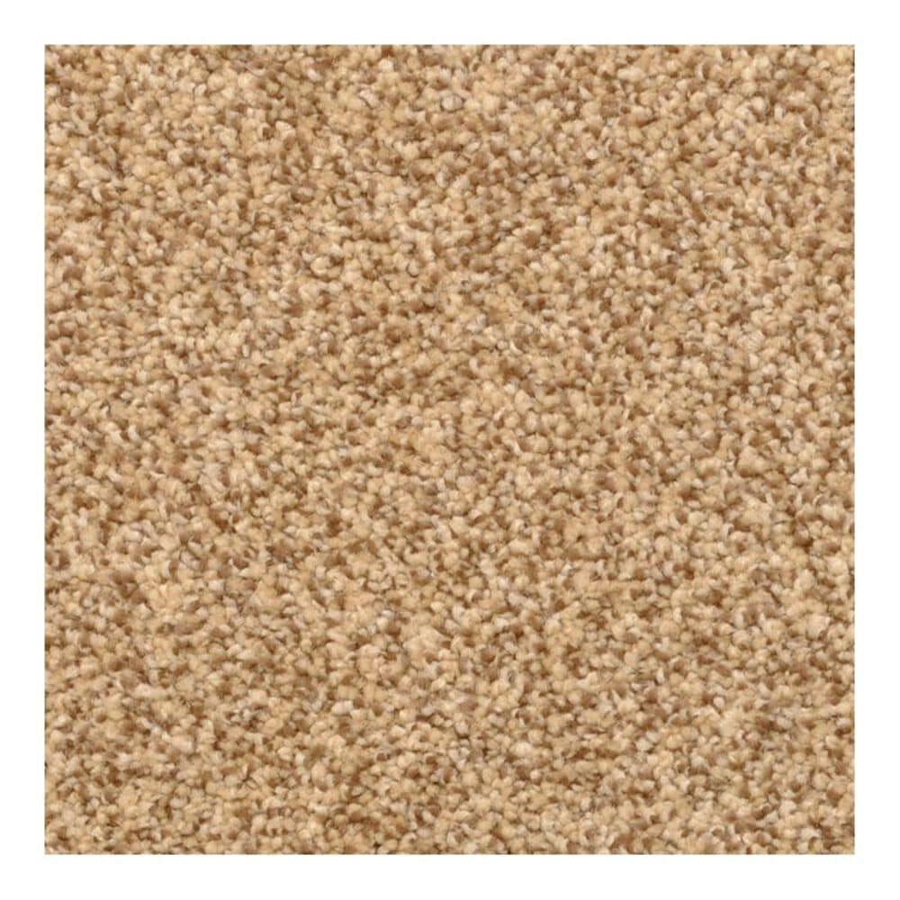 Dixie Home Lavato Carpet in Monarch, , large