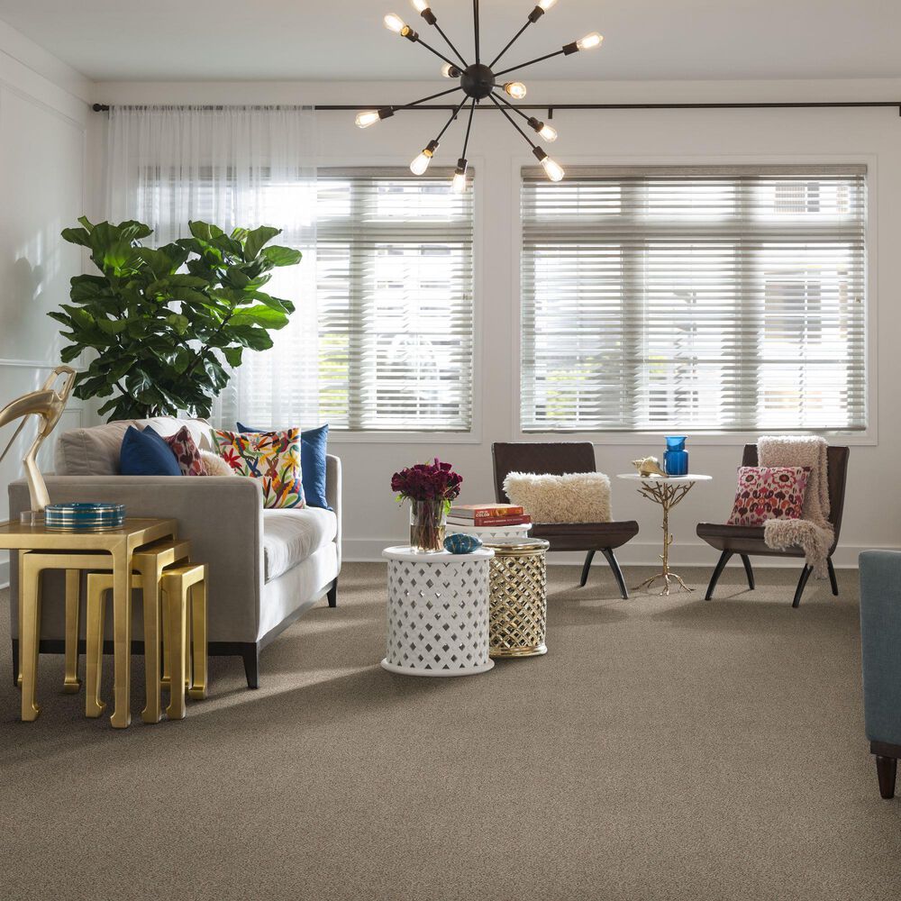 Shaw Find Your Comfort TA I Carpet in Backstage Pass, , large