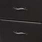 Baxton Studio Erin 2-Drawer Nightstand with Black Faux Leather Upholstery in Chrome, , large