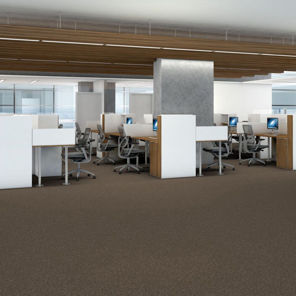Shaw Yes You Can III Carpet in Mission Ridge, , large