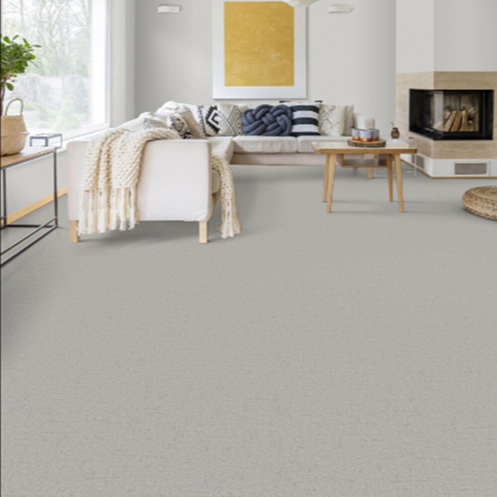 Dixie Home Genuine Carpet in Genuine, , large