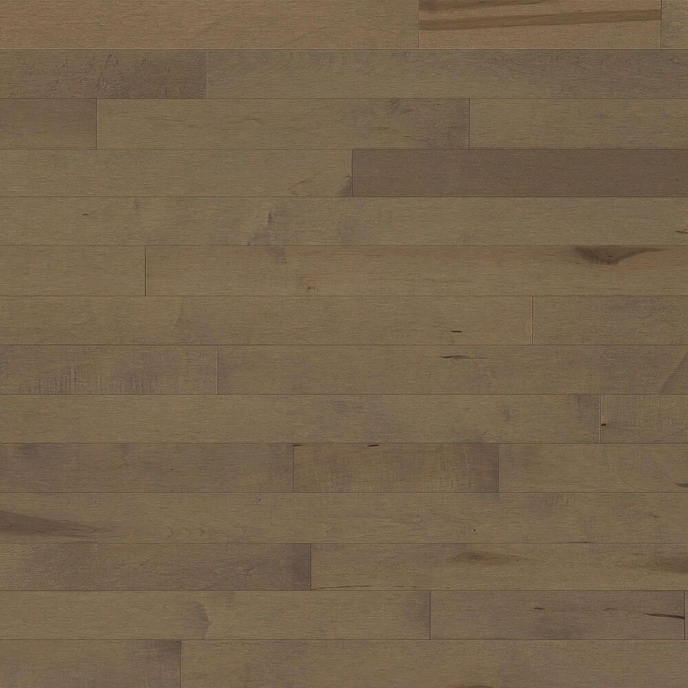 Paramount Vancouver Wild Bear Maple Hardwood, , large