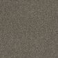 Dream Weaver Gamechanger Carpet in Ingot, , large