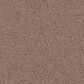 Anderson Tuftex Finery Carpet in Vintage Heather, , large