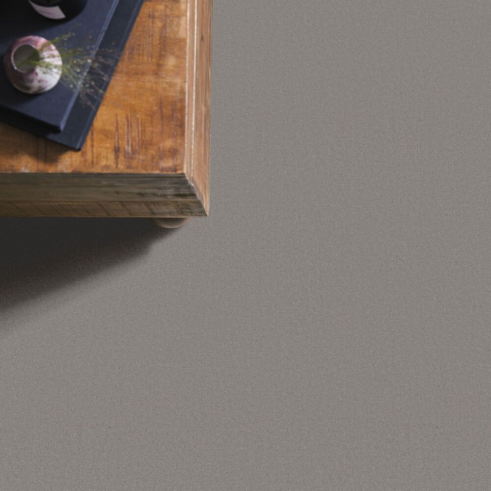 Anderson Tuftex Finery Carpet in Stone, , large