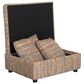 Fulton Home Sun Valley Stoarge Ottoman in Raphael Harvest, , large