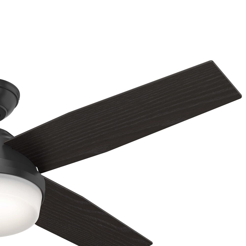 Hunter Dempsey 52" Outdoor Ceiling Fan with Lights in Matte Black