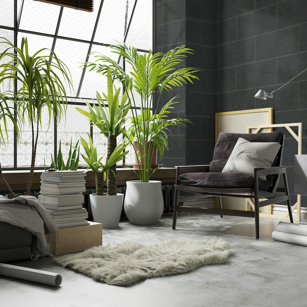 Emser Prodigy Pascal 12&quot; x 24&quot; Polished Porcelain Tile, , large