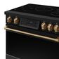 Thor Kitchen Gordon Ramsay 6 Cu. Ft. Professional Induction Range with Bronze Handle Kit in Black, , large