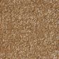 Shaw Luxuriant Carpet in Burnt Ivory, , large