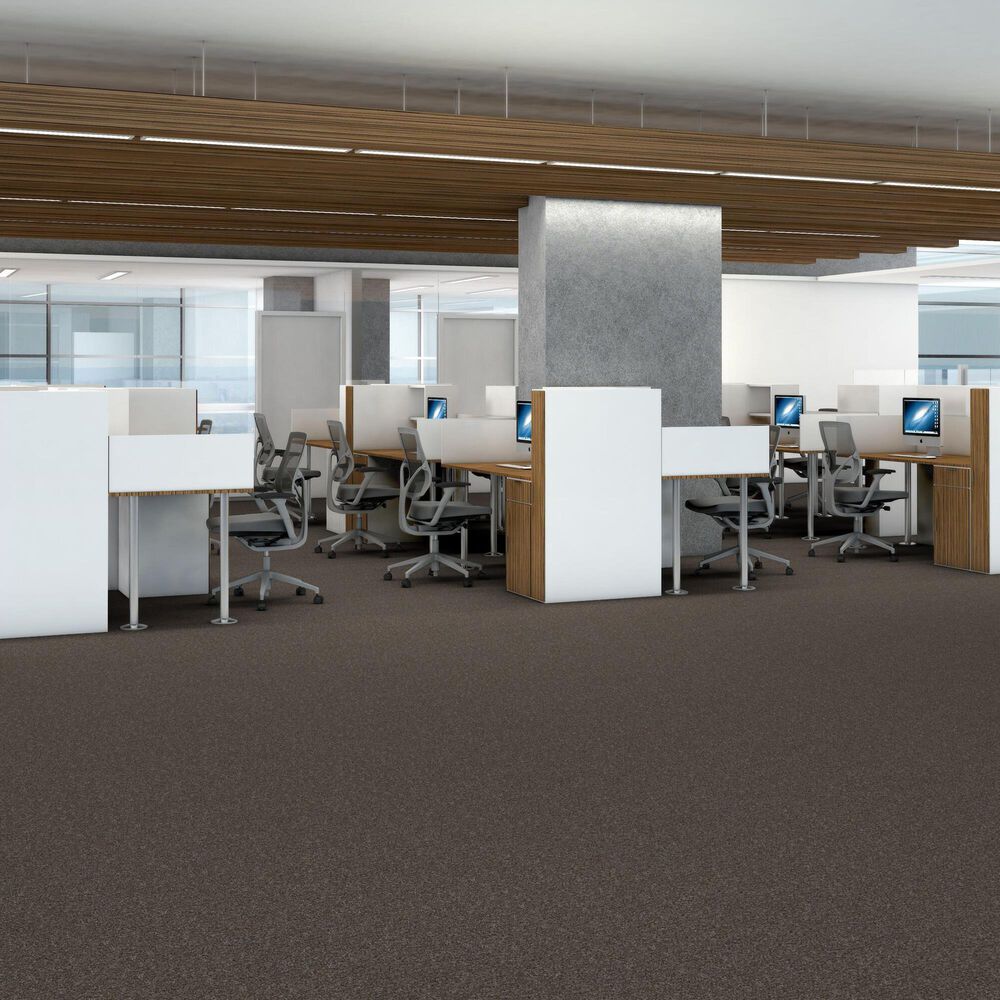 Shaw Yes You Can III Carpet in Cafe Noir, , large