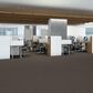 Shaw Yes You Can III Carpet in Cafe Noir, , large
