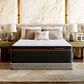 SweetNight Twilighty 16" Medium Queen Mattress in a Box, , large