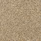 Dixie Home Natural Beauty Carpet in Bronze, , large